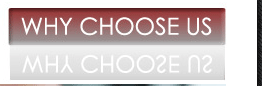 Why Choose Us